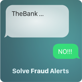 Solve Fraud Alerts